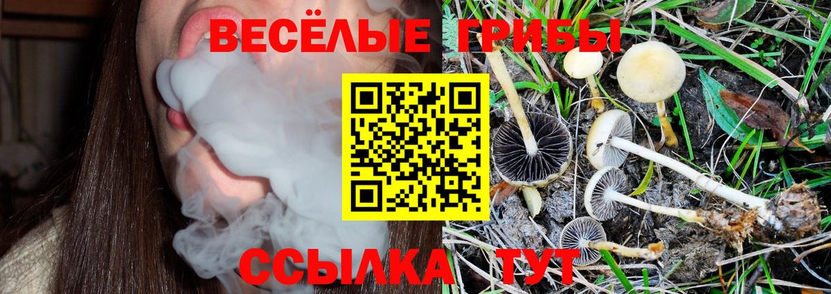 Амфетамин Прохладный