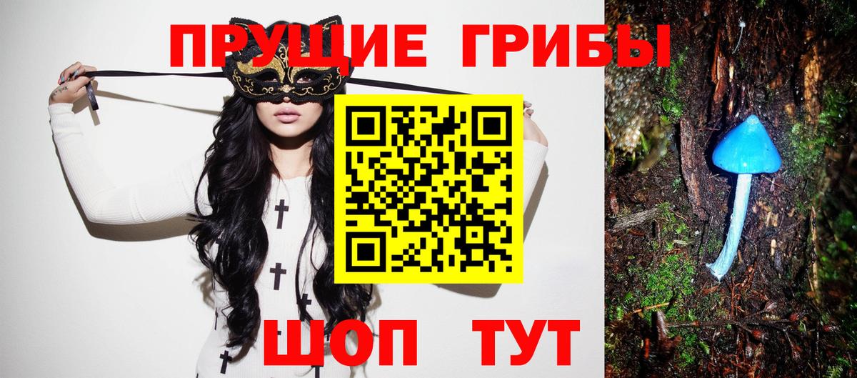 Галлюциногенные грибы MAGIC MUSHROOMS  Вход с VPN  Прохладный  Галлюциногенные грибы прущие грибы 