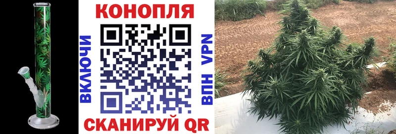 нарко площадка Telegram  Прохладный  Конопля план 
